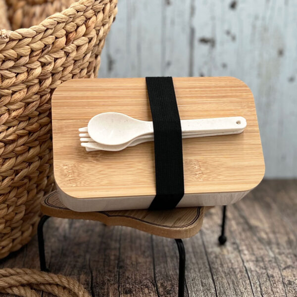 Bamboo-Top Bento Box